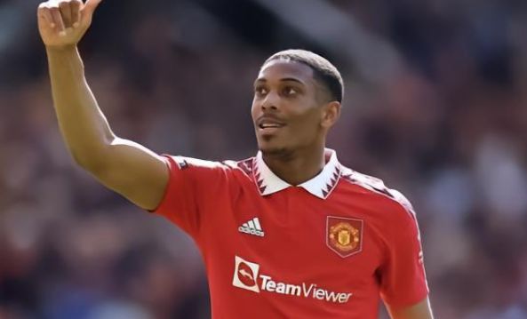 高脂肪食物 高脂肪食物